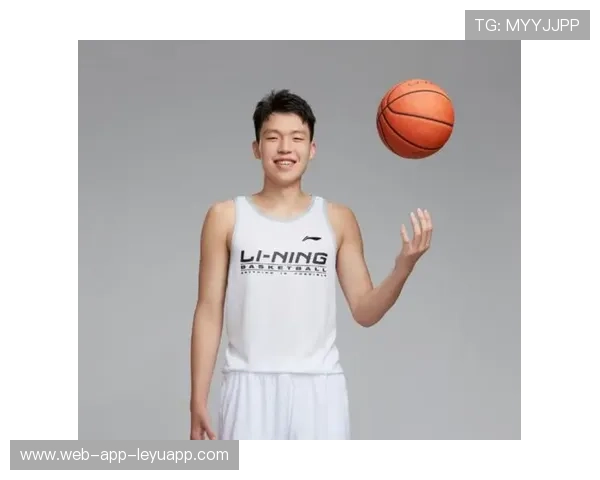 杨瀚森职业路径猜想：留洋、CBA还是直冲NBA？，2006年杨翰