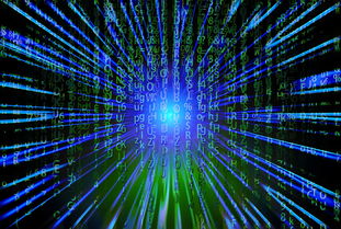 leyu乐鱼-新加坡队未来之路：如何在全球乒乓赛事中争夺更多荣誉，新加坡乒乓球厉害吗