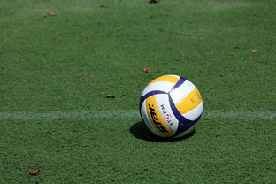 leyu官网-女子排球世锦赛中国队逆转强敌夺冠，女子排球世锦赛几年一届